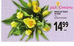 Metro FRESH CUT TULIPS 15 STEM offer