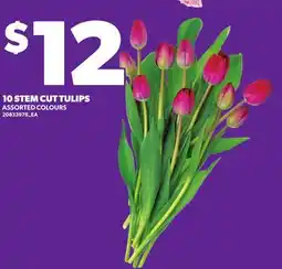 Loblaws 10 STEM CUT TULIPS offer