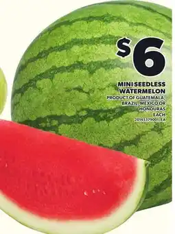 Loblaws MINI SEEDLESS WATERMELON offer