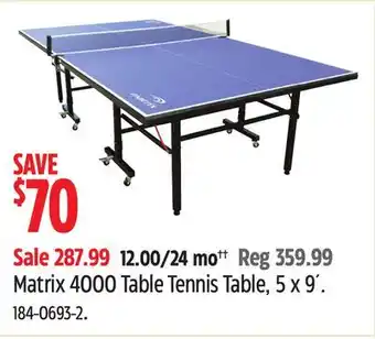 Canadian Tire Matrix 4000 Table Tennis Table, 5 x 9´ offer