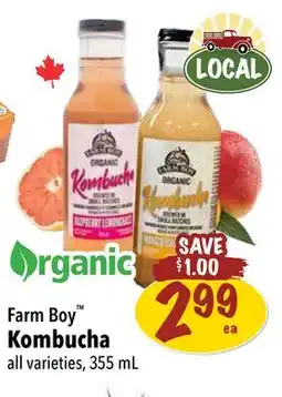 Farm Boy Farm Boy Kombucha offer