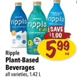 Farm Boy Ripple Plant-Based Beverages offer