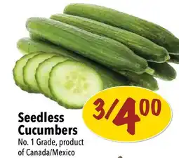 Farm Boy Seedless Cucumbers offer