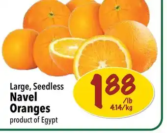 Farm Boy Large, Seedless Navel Oranges offer