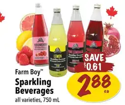 Farm Boy Farm Boy Sparkling Beverages offer