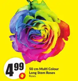 Chalo FreshCo 50 cm Multi Colour Long Stem Roses offer