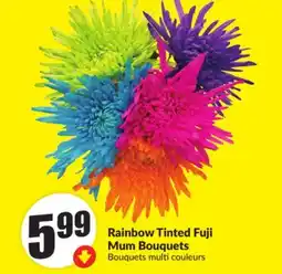 Chalo FreshCo Rainbow Tinted Fuji Mum Bouquets offer