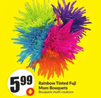 Chalo FreshCo Rainbow Tinted Fuji Mum Bouquets offer