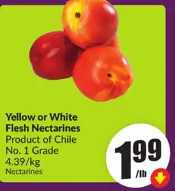 Chalo FreshCo Yellow or White Flesh Nectarines Product of Chile No. 1 Grade 4.39/kg offer