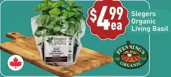 Healthy Planet Slegers Organic Living Basil offer