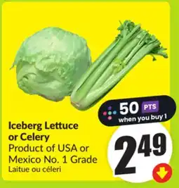 FreshCo Iceberg Lettuce or Celery Product of USA or Mexico No. 1 Grade offer