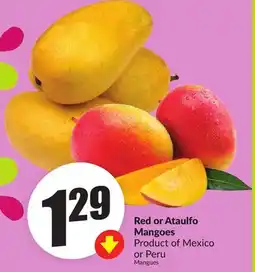 FreshCo Red or Ataulfo Mangoes Product of Mexico of Peru offer