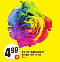 FreshCo 50 cm Multi Colour Long Stem Roses offer