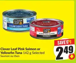 FreshCo Clover Leaf Pink Salmon or Yellowfin Tuna 142 g Selected offer