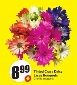 FreshCo Tinted Crazy Daisy Large Bouquets offer