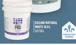 Canac Formule Pro Ceiling Interior Latex Paint Natural White 18.9 L offer