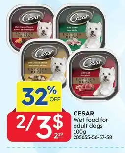 Rossy CESAR Wet food for adult dogs offer