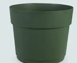 Canac Bloom Flower Pot 11 1/2 in offer