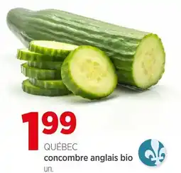 Avril concombre anglais vio offer