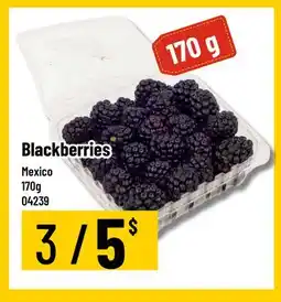 Mayrand Blackberries offer