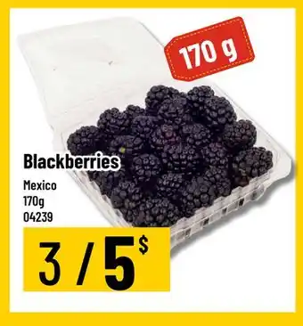 Mayrand Blackberries offer