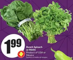 FreshCo Bunch Spinach or Methi offer