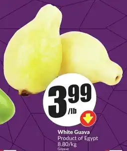 FreshCo White Guava Product of Egypt offer