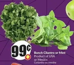 FreshCo Bunch Cilantro or Mint offer