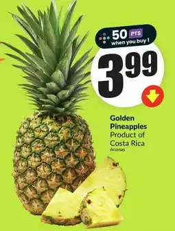 FreshCo Golden Pineapples offer