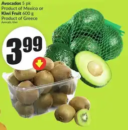 FreshCo Avocados or Kiwi Fruit offer