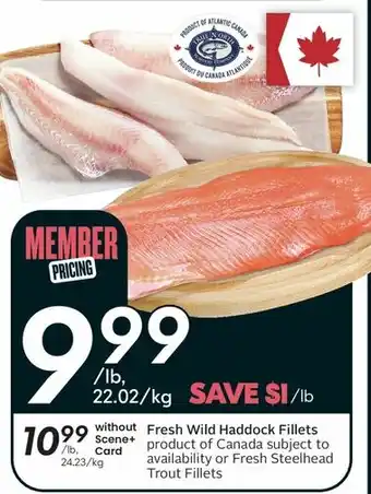 Sobeys Fresh Wild Haddock Filletwithout Fresh Wild Haddock Fillets offer