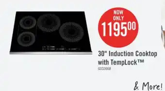 The Brick Frigidaire Gallery 30 4-Element Induction Cooktop - Black - GCCI3067AB offer