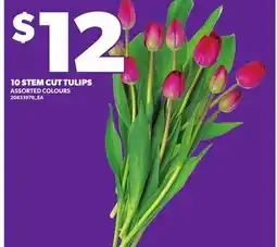 Independent City Market 10 STEM CUT TULIPS offer