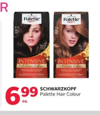 Rexall SCHWARZKOPF Palette Hair Colour offer