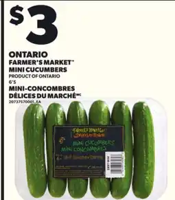 Independent City Market FARMER'S MARKET MINI CUCUMBERS,6'S offer