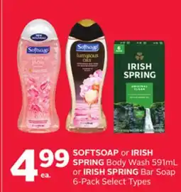 Rexall SOFTSOAP or IRISH SPRING Body Wash 591mL or IRISH SPRING Bar Soap 6-Pack offer