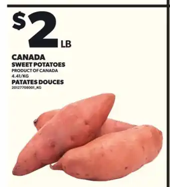 Independent City Market SWEET POTATOES offer