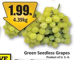 Starsky Green Seedless Grapes offer