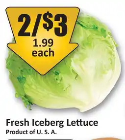 Starsky Fresh Iceberg Lettuce offer