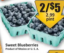 Starsky Sweet Blueberries offer