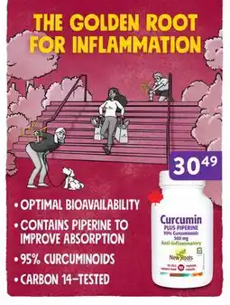 Ki Nature & Santé Curcumin Plus Piperine offer