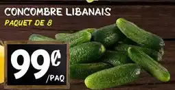 Marche Salaberry CONCOMBRE LIBANAIS offer