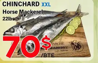 Marche Salaberry CHINCHARD XXL offer