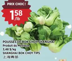 Kim Phat SHANGHAI BOK CHOY TIPS offer