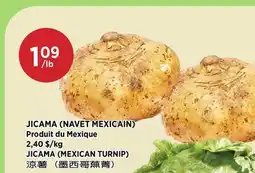 Kim Phat JICAMA (MEXICAN TURNIP) offer