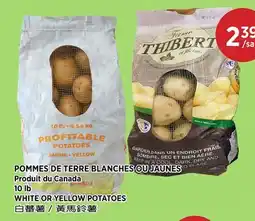 Kim Phat WHITE OR YELLOW POTATOES offer