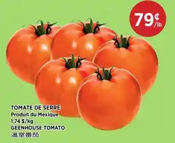 Kim Phat GEENHOUSE TOMATO offer