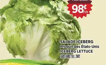 Kim Phat ICEBERG LETTUCE offer