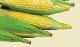 Kim Phat CORN COB offer