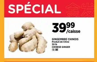 Kim Phat CHINESE GINGER offer